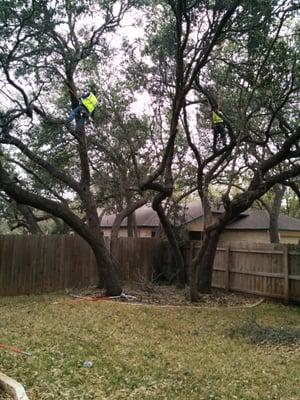 Spring Valley Tree Service & Lawn Care