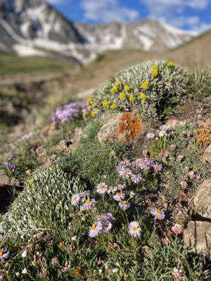 Gray’s And Torrey’s Trailhead