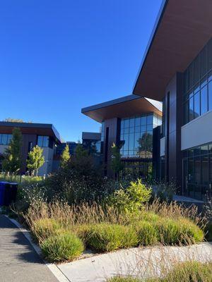 Symphony Korean Church