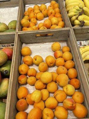 Palombo Farms Market