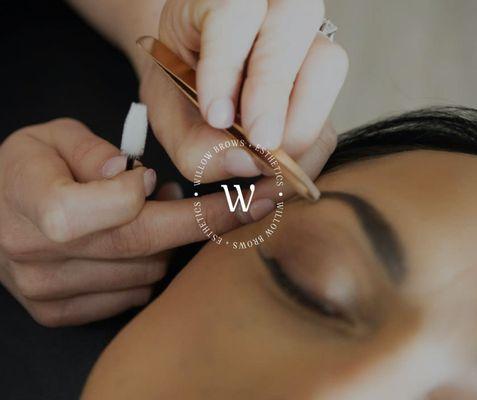 Brow services in Las Vegas, NV.