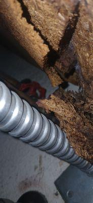 Cambridge Garden Apartments