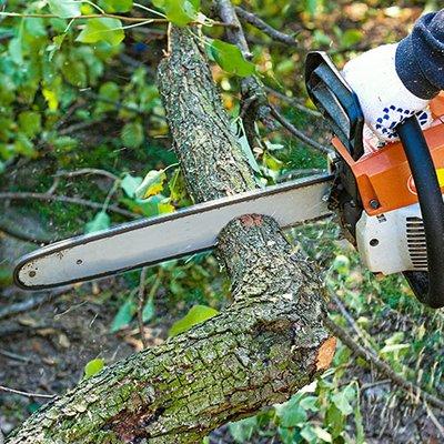 A&S Lawn Care