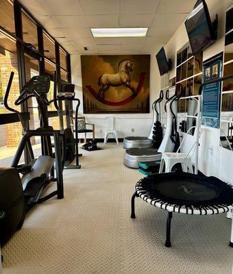 Impact Exercise Room featuring Vibration Plate Therapy