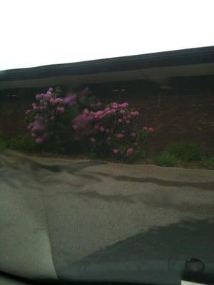 Water windshield rhodies taichicharlie
