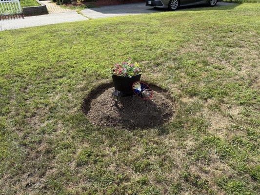 Great Heights Landscaping