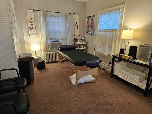 Stone Guardian Acupuncture