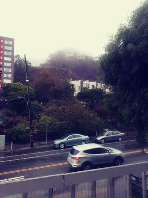 The SAN FRANCISCO COMMUNITY GARDEN is just across the street...its a joy to walk through!