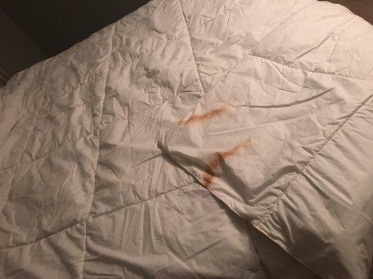 Dry Clean Super Center-8309