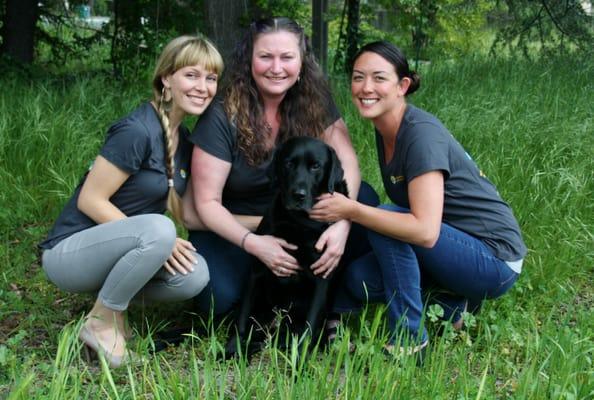 The Body Mechanics team! Sarah Vander Heide, Cindy Cross, Amanda Pamatmat and Charlie, the office mascot :-)