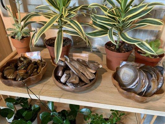 Assortment of crystals, petrified wood, and rocks