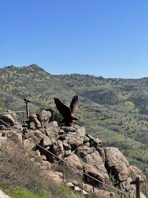 Vineyard Luxury Limousine