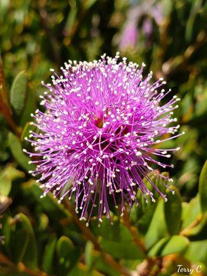 Morro Bay Boat Launch Facility