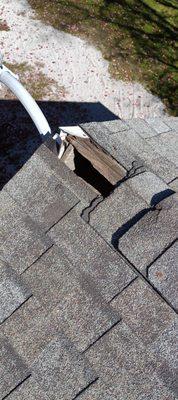 Frontline Animal Removal