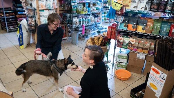 The staff are amazing! They are kind and have treats on hand to make Snow's day. Photo taken by: Mihai Cavaliere
