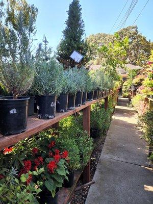 Green Fashion Florist