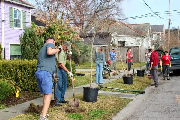 Tree planting in Broadmoor