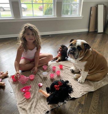 Cedar Brook Animal Hospital