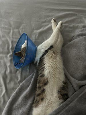 Carteret County Humane Society Shelter