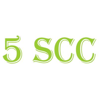 5 Star Carpet Cleaning