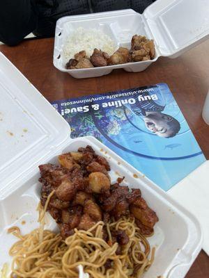 At least half of the chicken was crunchy cartilage that we had to leave in the two thin napkins provided.