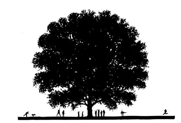 Lost Arrow Arborists