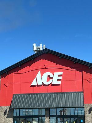 Ace is the place