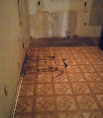 Roger Rabbit Hauling and Junk Removal