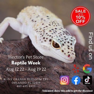 Reptile Week is back!