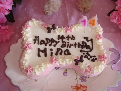 Cane Cuore's bone shaped cake