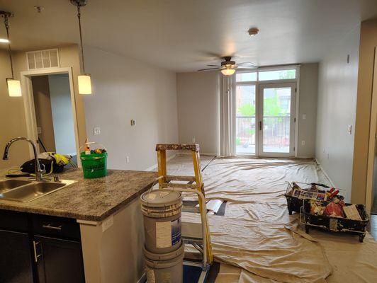 Toledo Bros Painting