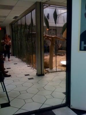 The Entrane to the back waiting room.