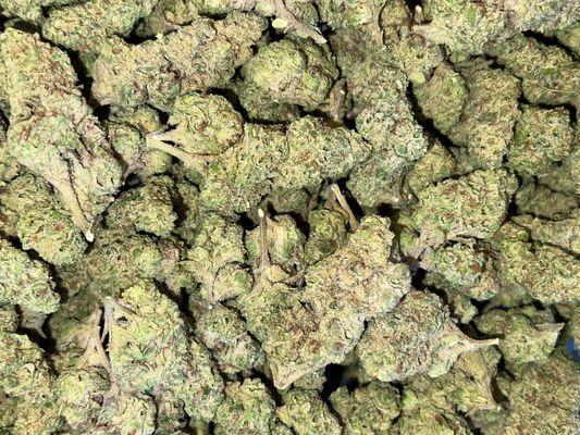 Medie-Nugz