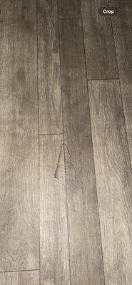 Lighthouse Bay Apartment Homes