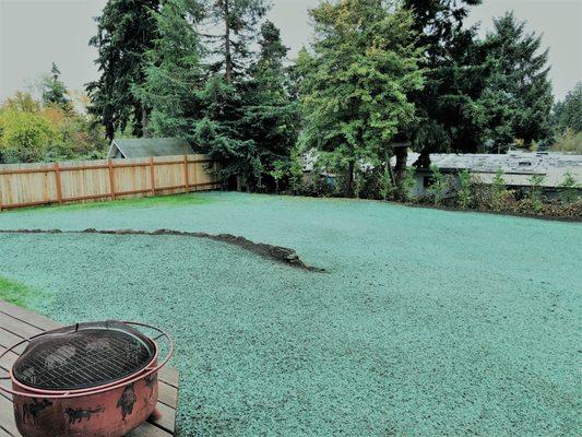 Grass Master Hydroseeding