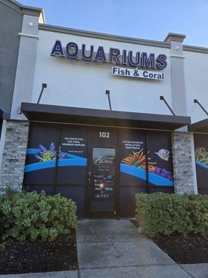 Top Shelf Aquatics
