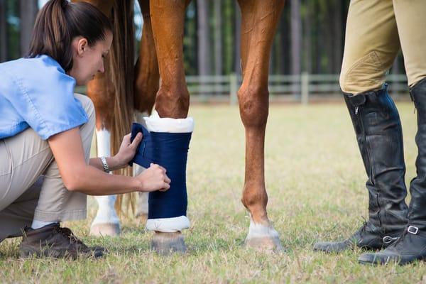 Foundation Equine Clinic