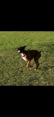 First Class Boarding Training