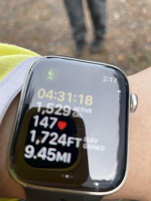 Manzanita and Gordon Mills loop hike