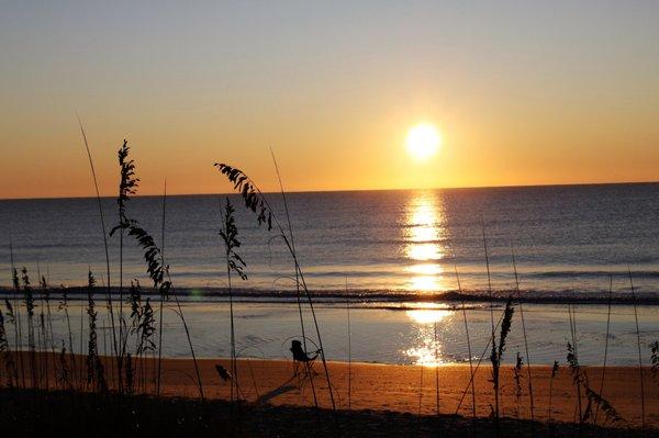 Sharon Bishop - Realty One Group Dockside