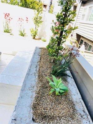 Dana point. More of the work completed