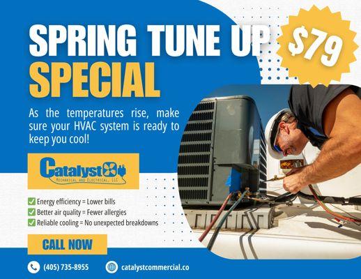 Spring Tune Up Special