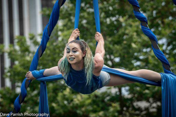 Host Of Sparrows Aerial Dance & Circus Arts
