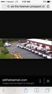 Ed the tree man's shop in prospect ct