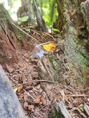 Farmington River Trail System Town of Burlington