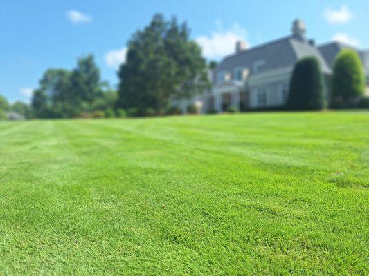 Advanced Turf Care