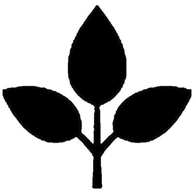 Minimalist black leaf design used in Fate Skincare branding