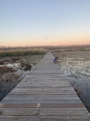 Lake waco wetlands