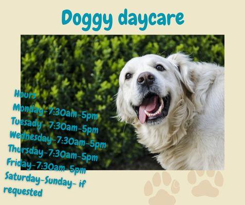 Busy B's Grooming and Pet Care