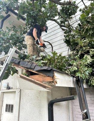 ArborPro Land Management